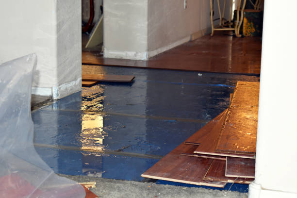 Professional Burst Pipe Cleanup technician working in Charlestown, MD